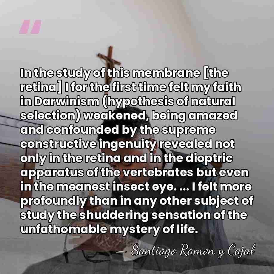 In the study of this membrane [the retina] I for the first&hellip; - Santiago Ramon y Cajal