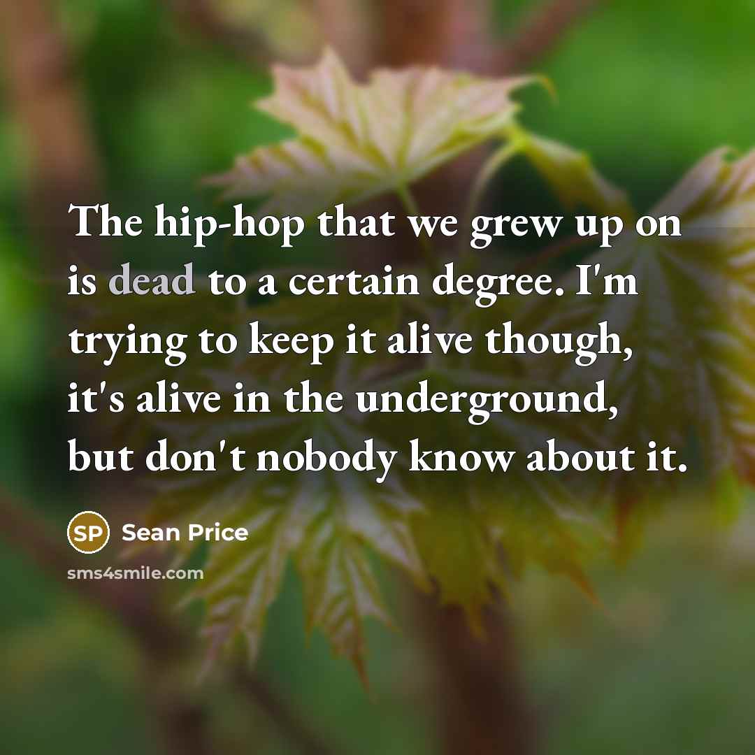 “The hip-hop that we grew up on is dead to…” quote by Sean Price