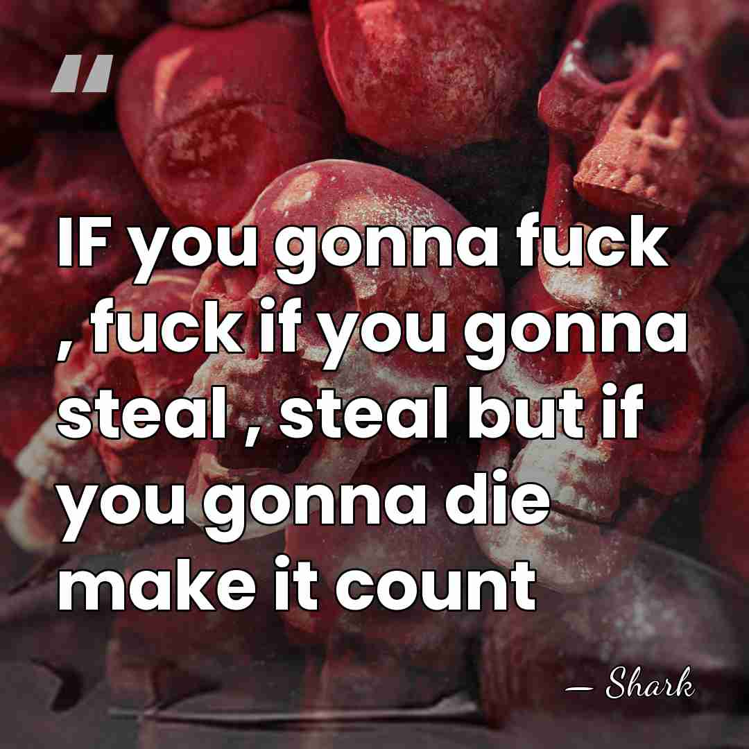 IF you gonna fuck , fuck if you gonna steal , steal&hellip; - Shark