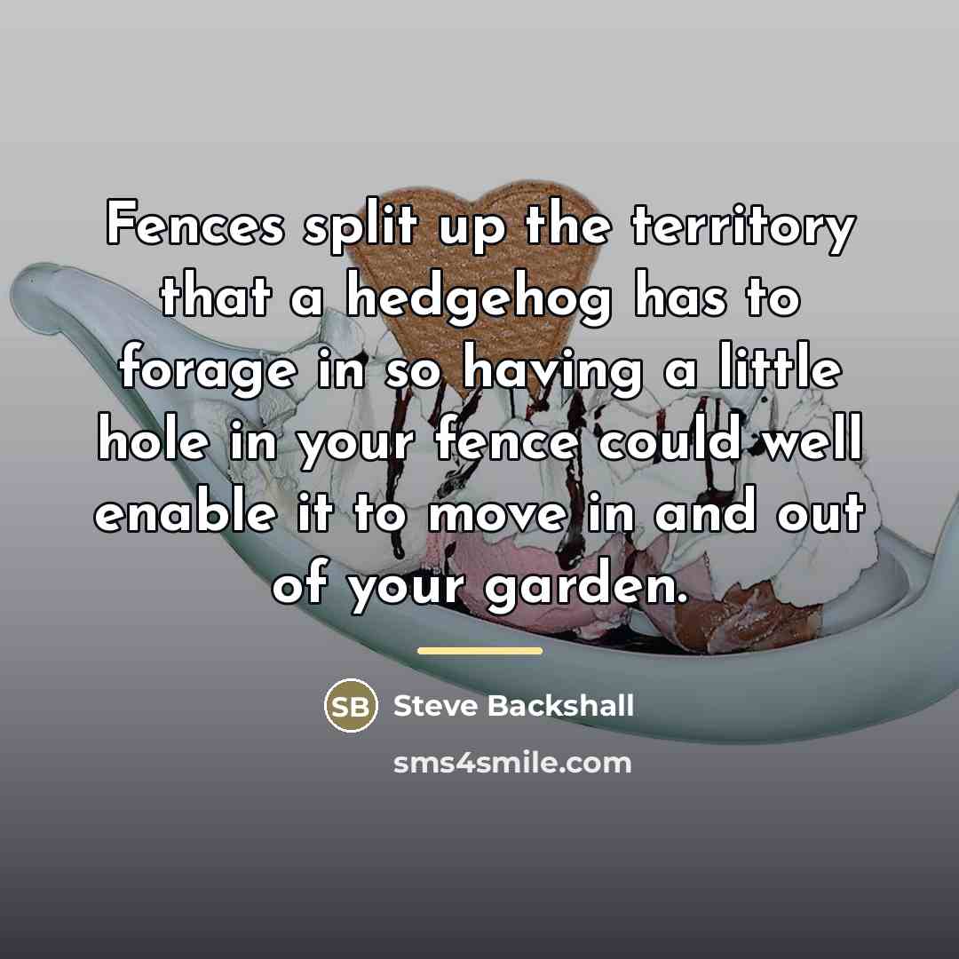 “Fences split up the territory that a hedgehog has to…” quote by Steve Backshall
