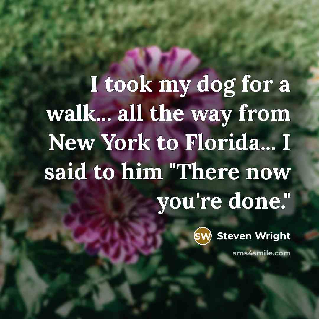 “I took my dog for a walk... all the way…” quote by Steven Wright
