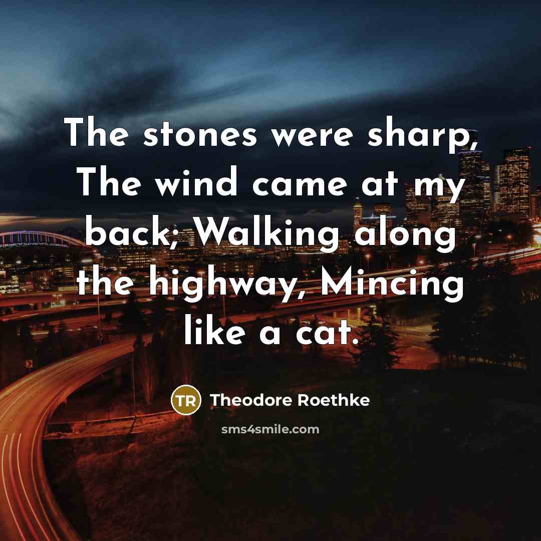 “The stones were sharp, The wind came at my back;…” quote by Theodore Roethke