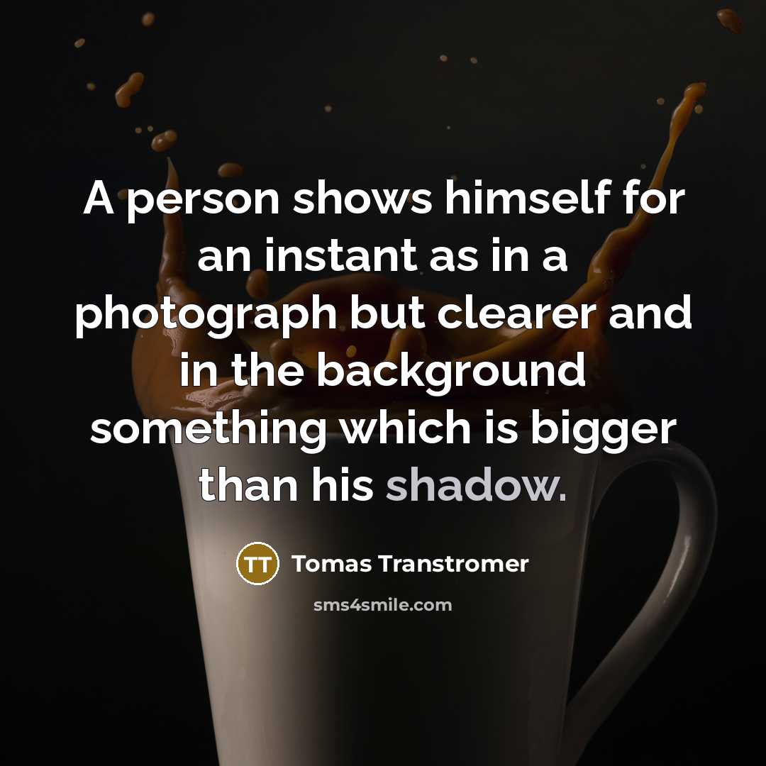 “A person shows himself for an instant as in a…” quote by Tomas Transtromer