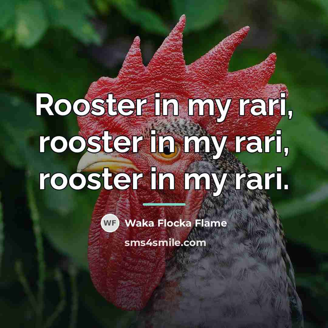 “Rooster in my rari, rooster in my rari, rooster in…” quote by Waka Flocka Flame