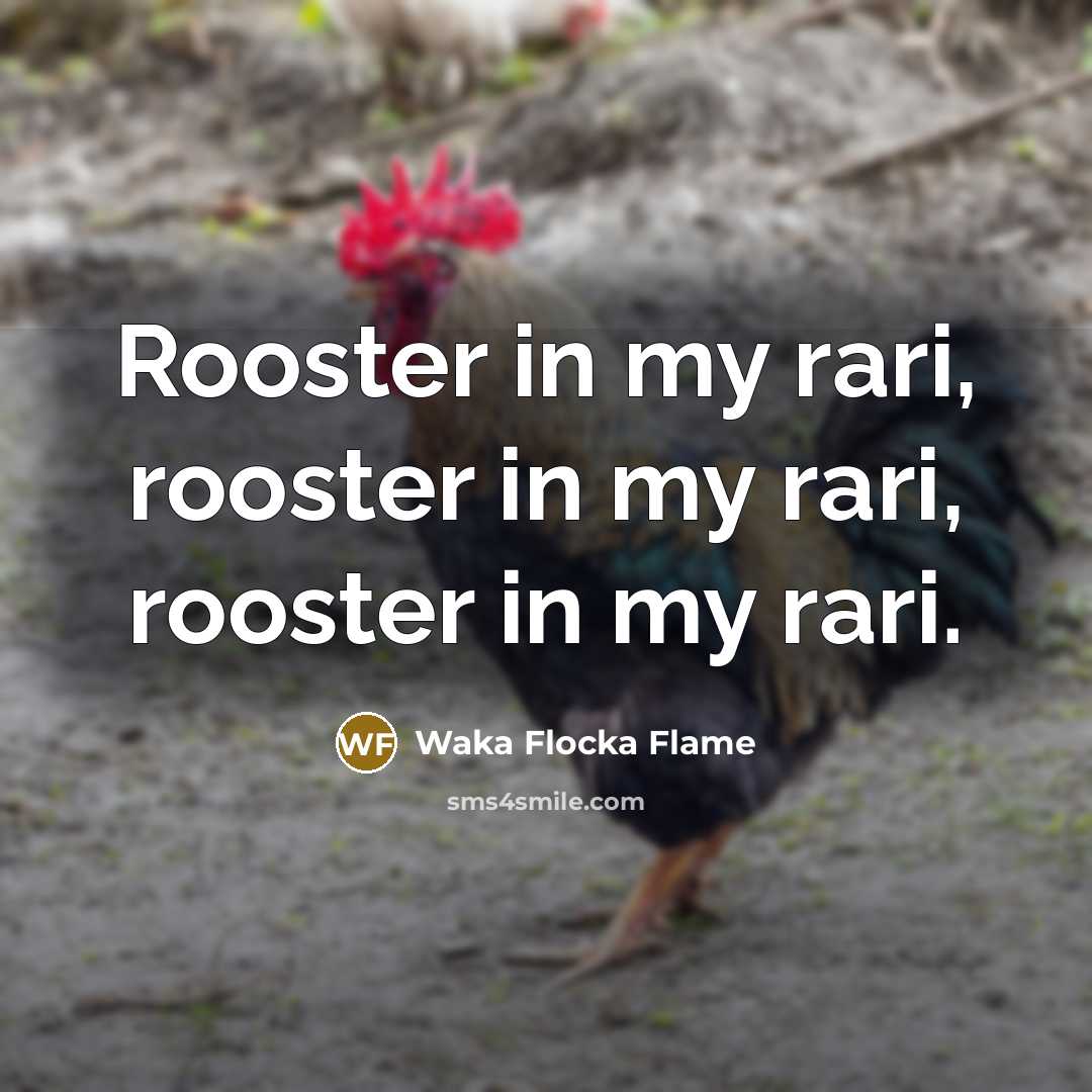 “Rooster in my rari, rooster in my rari, rooster in my rari.” quote by Waka Flocka Flame