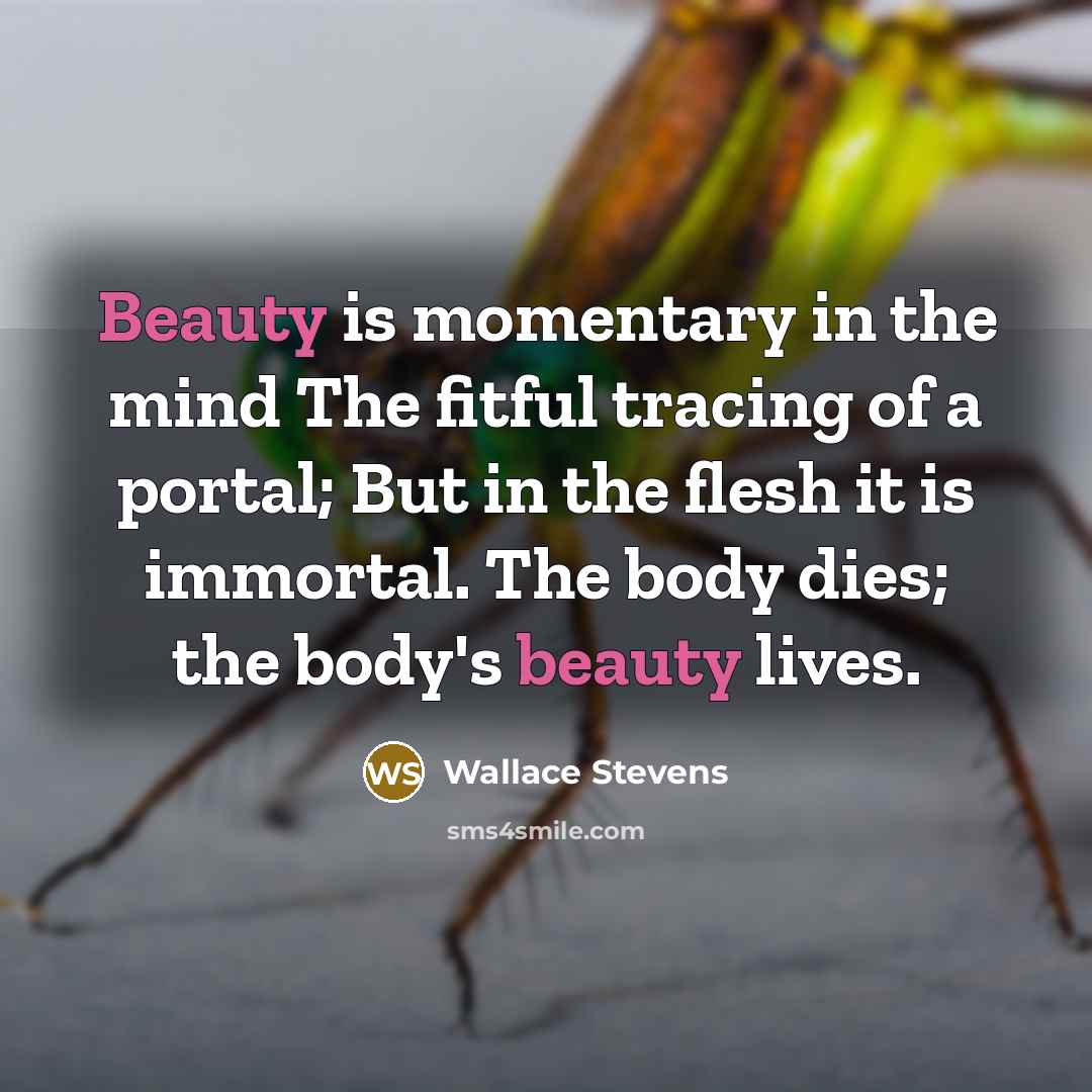 “Beauty is momentary in the mind The fitful tracing of…” quote by Wallace Stevens