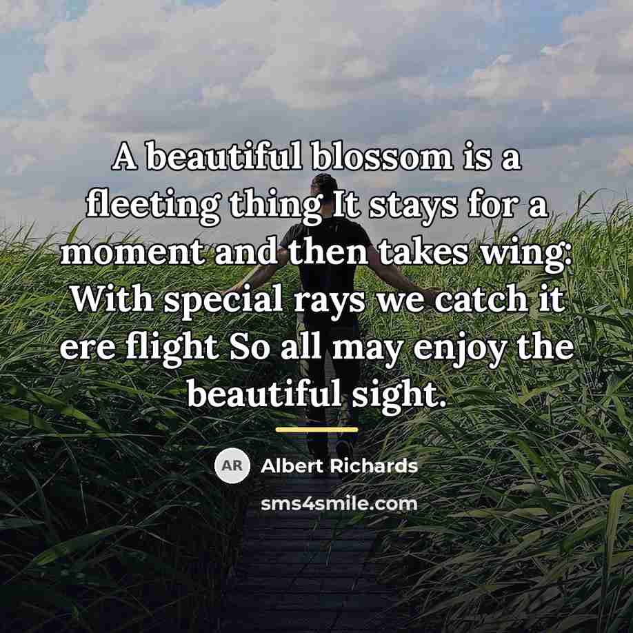 “A beautiful blossom is a fleeting thing It stays for…” quote by Albert Richards