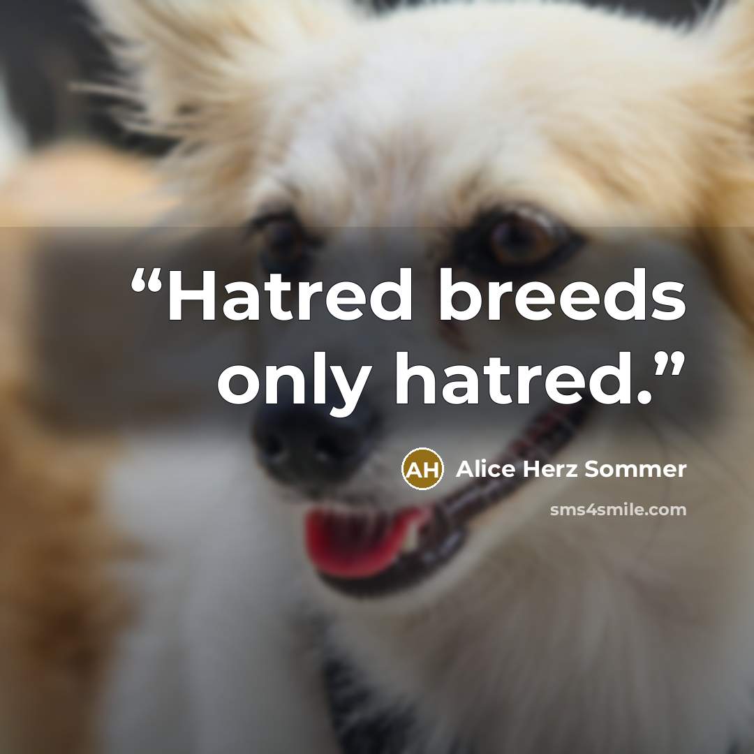 “Hatred breeds only hatred.” quote by Alice Herz Sommer