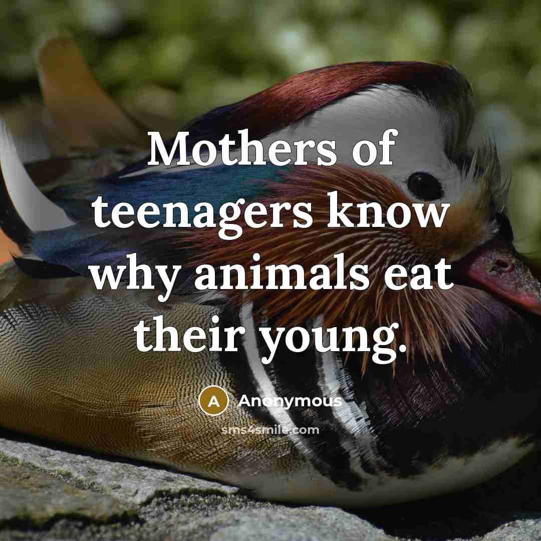 “Mothers of teenagers know why animals eat their young.…” quote by Anonymous