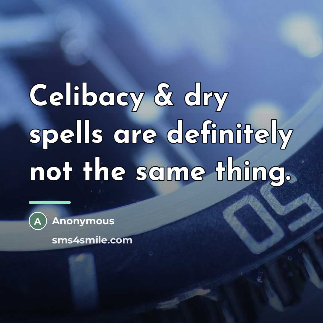 “Celibacy & dry spells are definitely not the same thing.…” quote by Anonymous