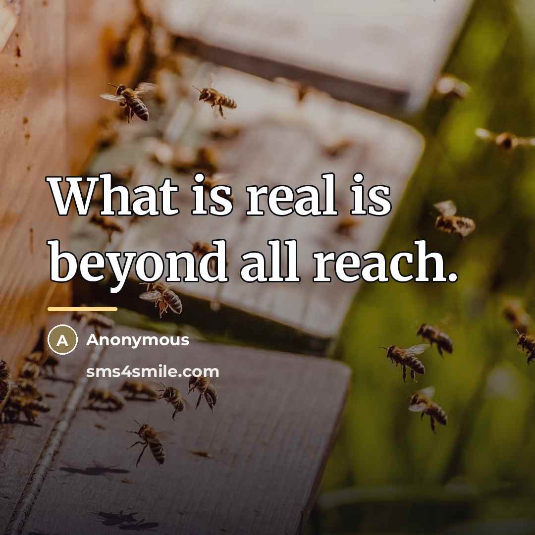 “What is real is beyond all reach.…” quote by Anonymous