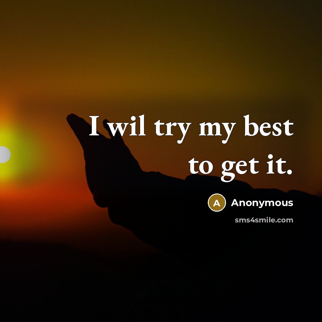 “I wil try my best to get it.…” quote by Anonymous