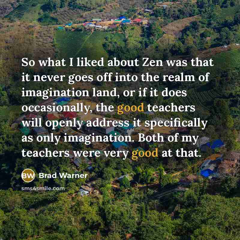 “So what I liked about Zen was that it never…” quote by Brad Warner