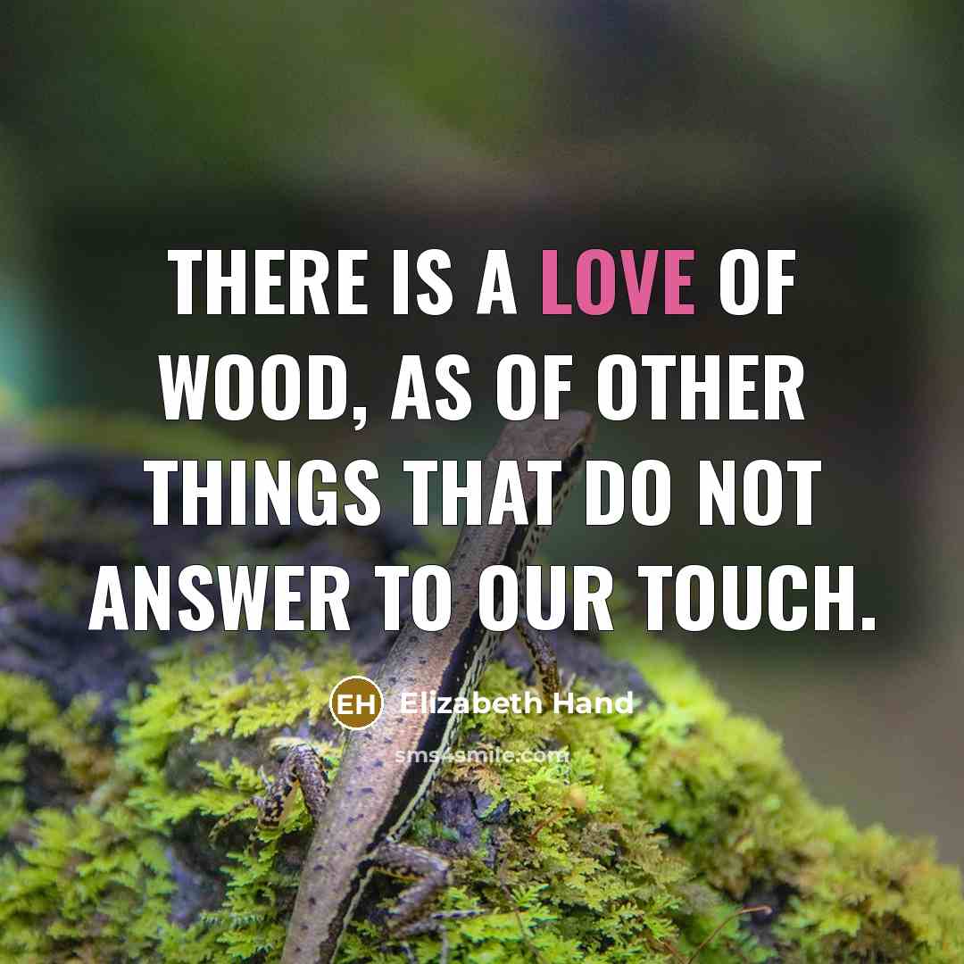“There is a love of wood, as of other things…” quote by Elizabeth Hand