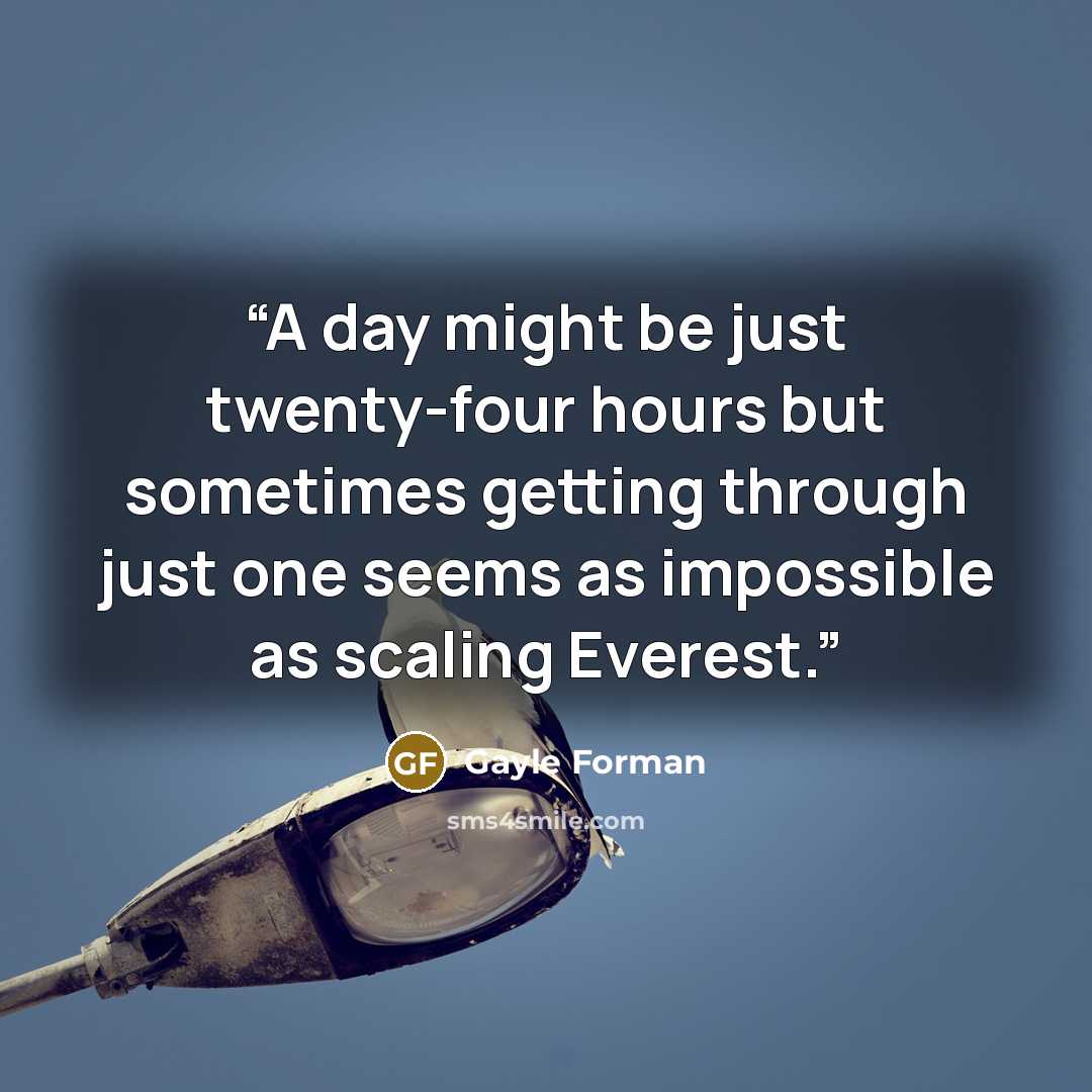 “A day might be just twenty-four hours but sometimes getting through just one seems as impossible as scaling Everest.” quote by Gayle Forman