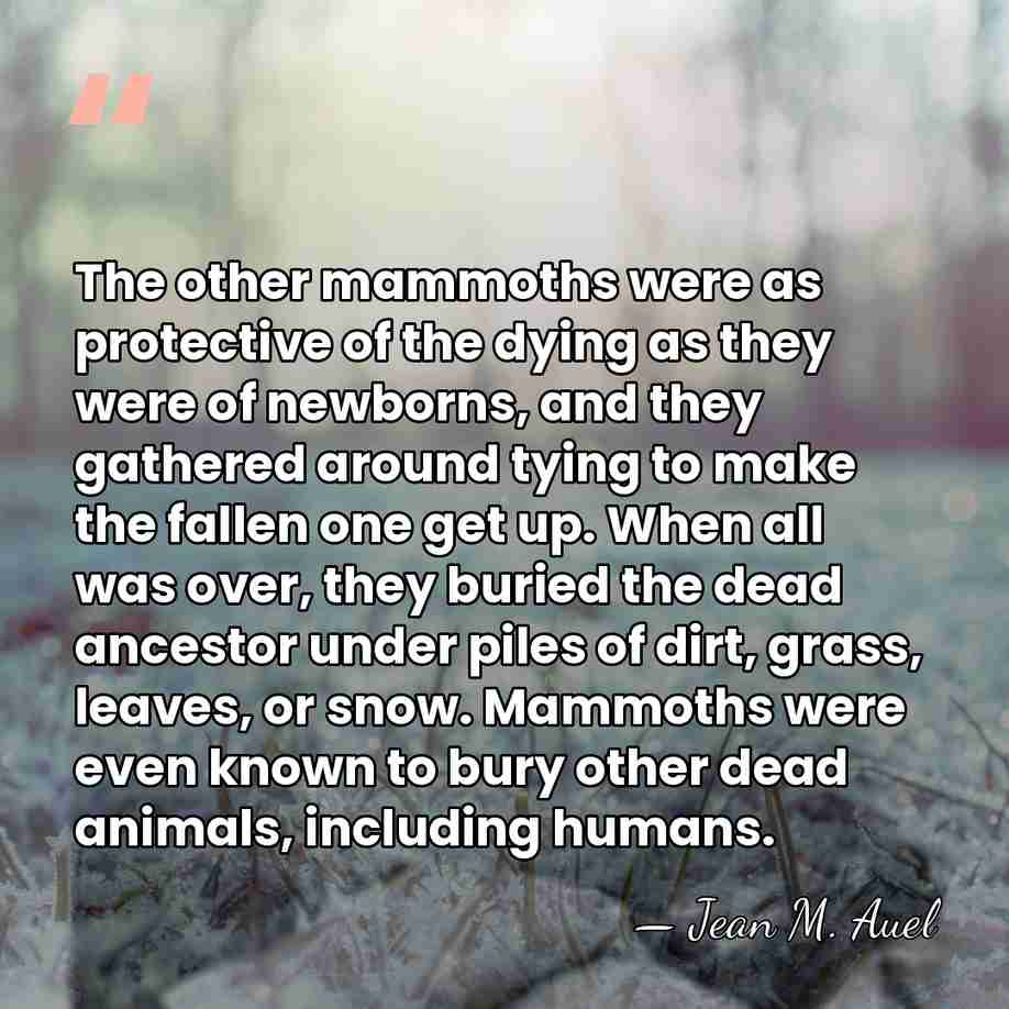 The other mammoths were as protective of the dying as they were&hellip; - Jean M. Auel