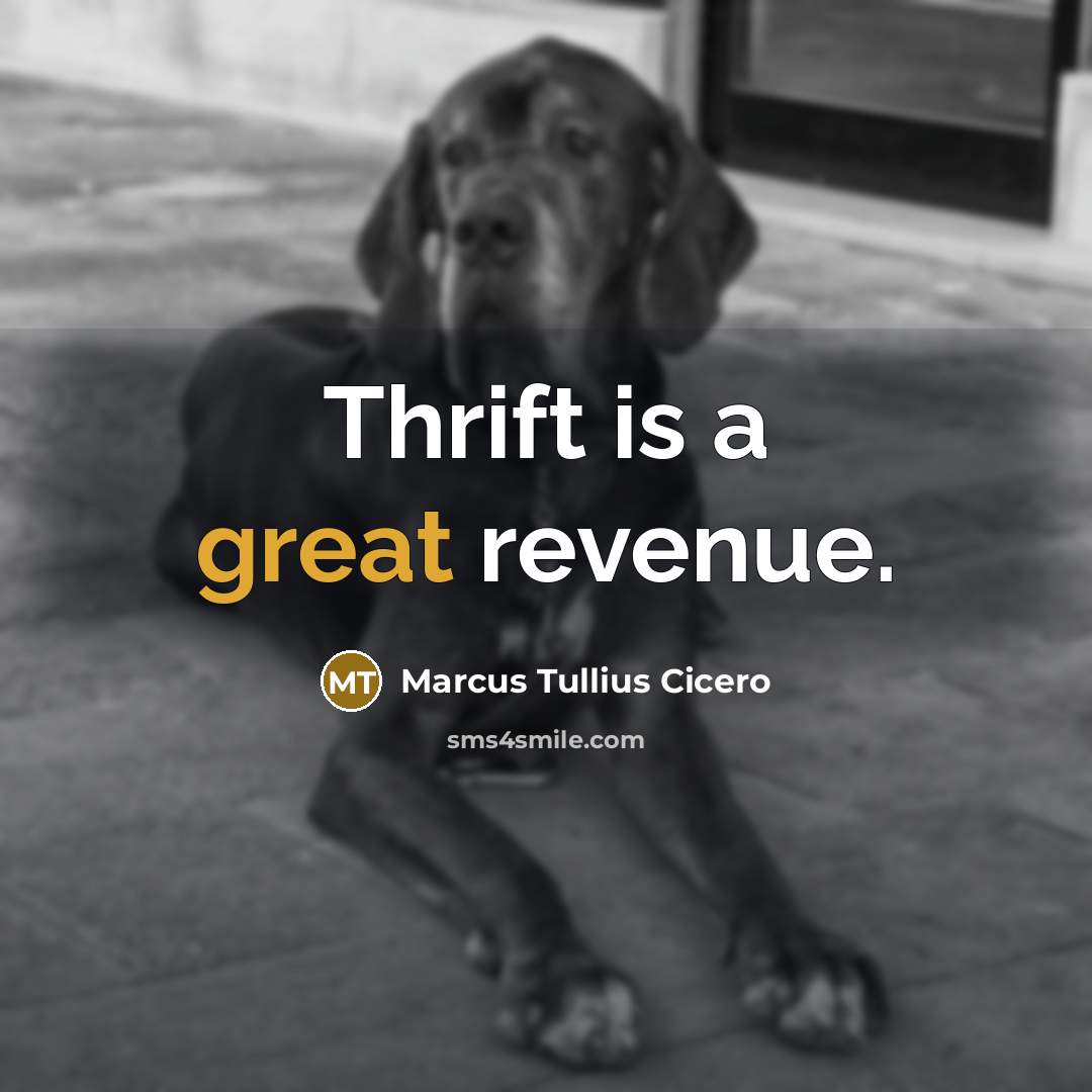 “Thrift is a great revenue.” quote by Marcus Tullius Cicero