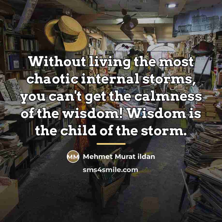 “Without living the most chaotic internal storms, you can't get…” quote by Mehmet Murat Ildan