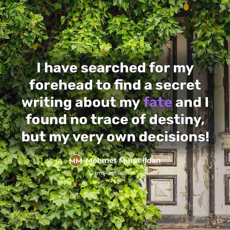 “I have searched for my forehead to find a secret…” quote by Mehmet Murat Ildan