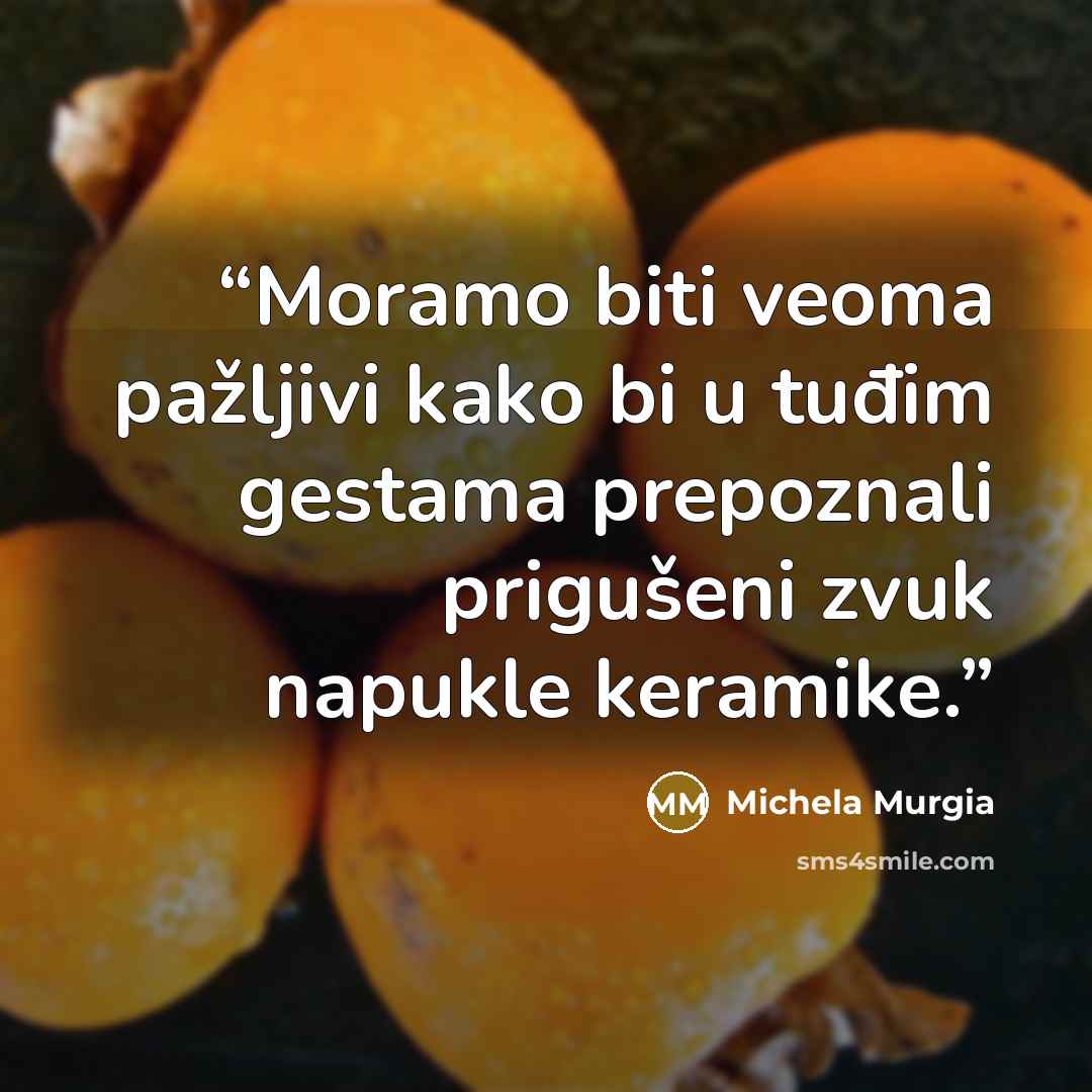 “Moramo biti veoma pažljivi kako bi u tuđim gestama prepoznali prigušeni zvuk napukle keramike.” quote by Michela Murgia