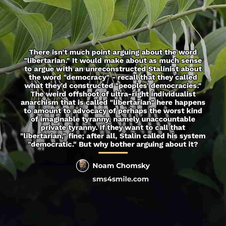“There isn't much point arguing about the word "libertarian." It…” quote by Noam Chomsky