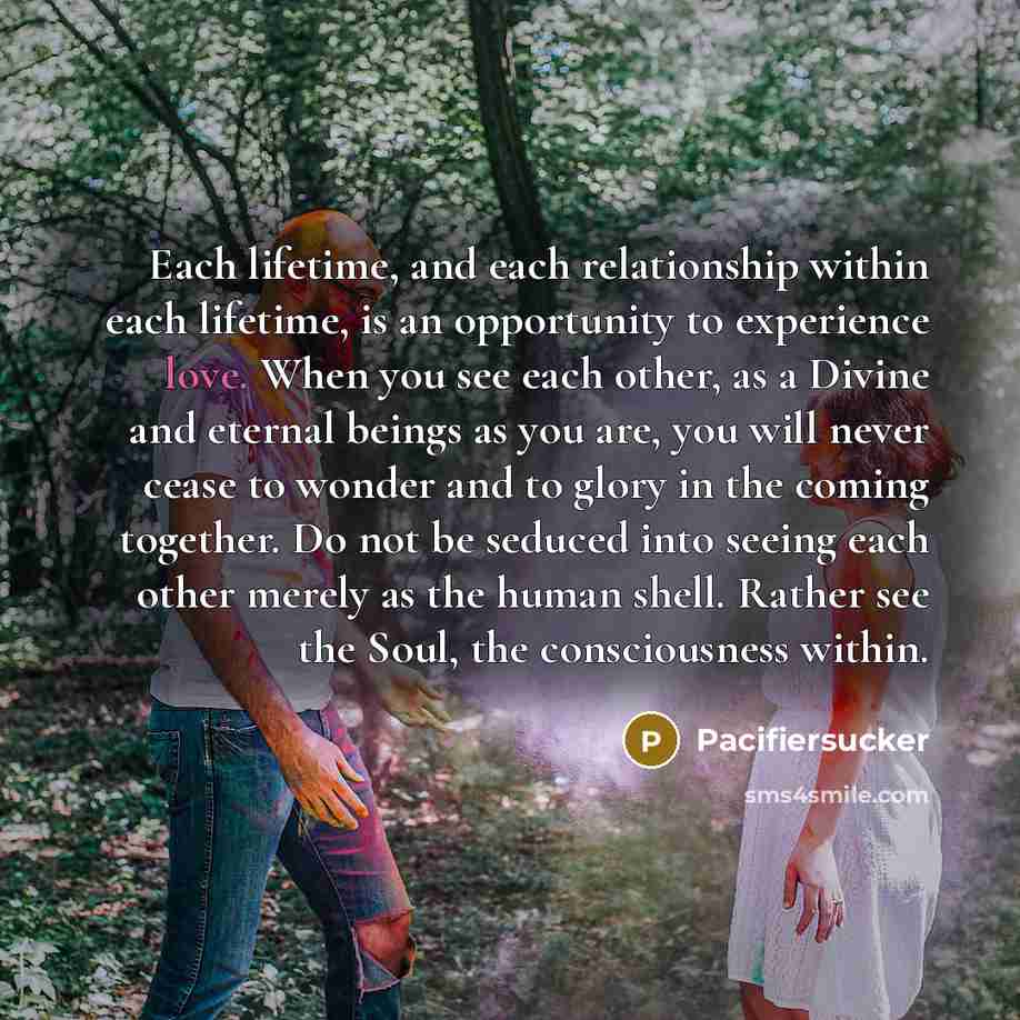 “Each lifetime, and each relationship within each lifetime, is an…” quote by Pacifiersucker