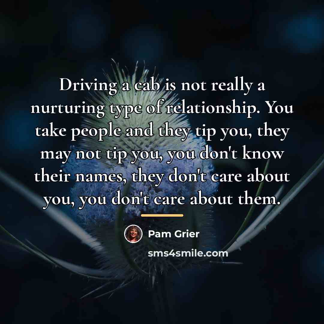 “Driving a cab is not really a nurturing type of…” quote by Pam Grier