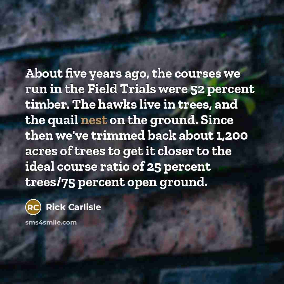 “About five years ago, the courses we run in the…” quote by Rick Carlisle