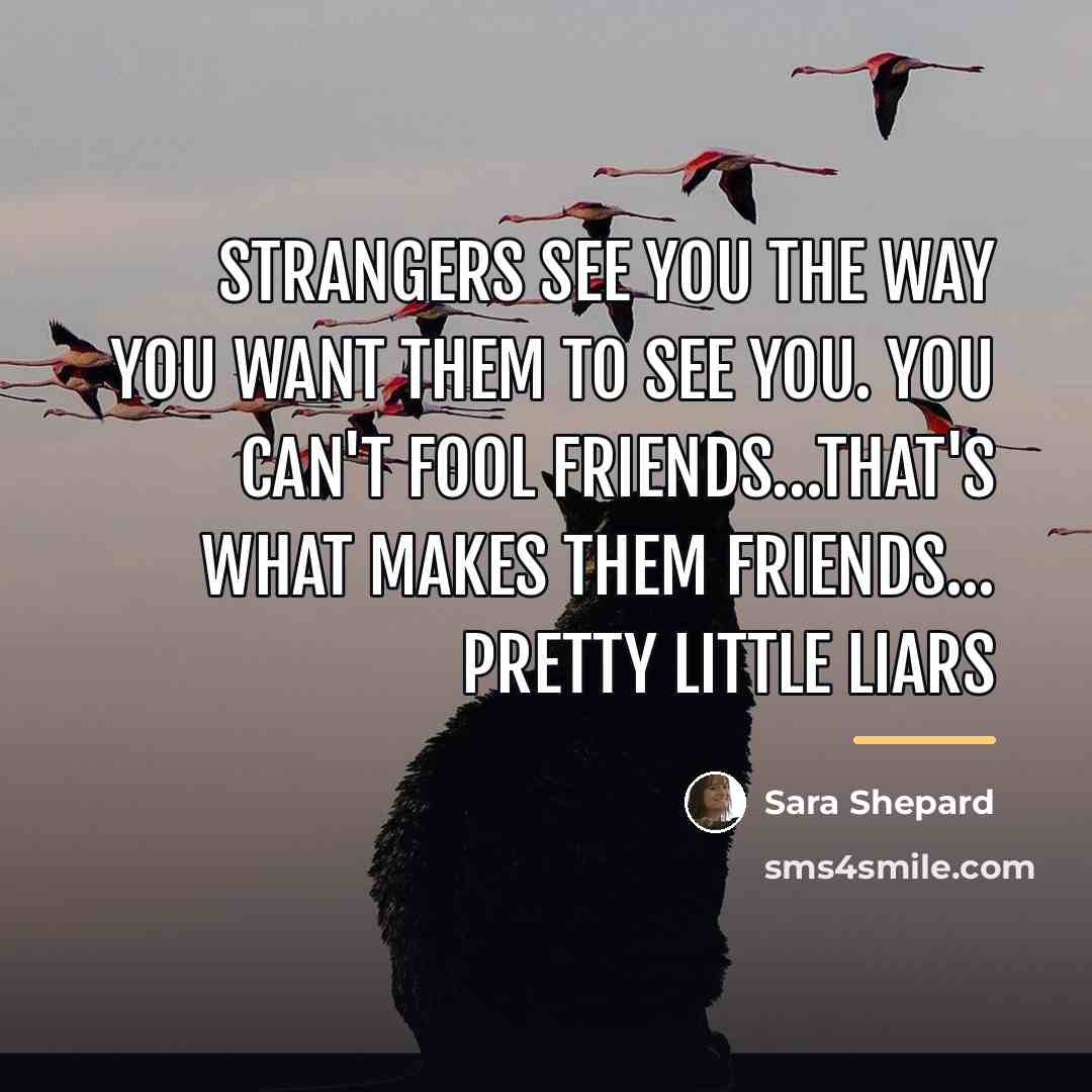 “Strangers see you the way you want them to see…” quote by Sara Shepard