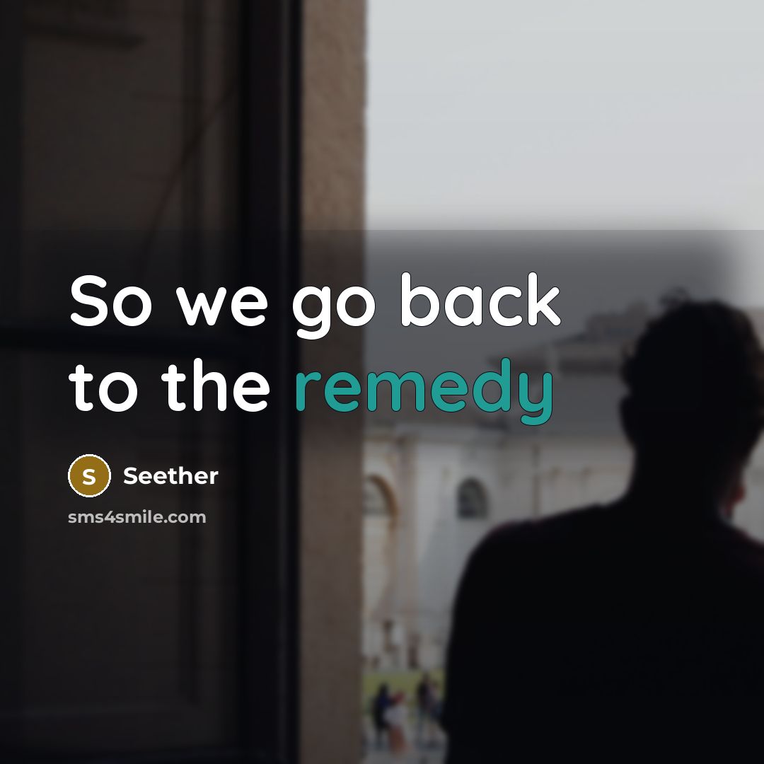 “So we go back to the remedy…” quote by Seether
