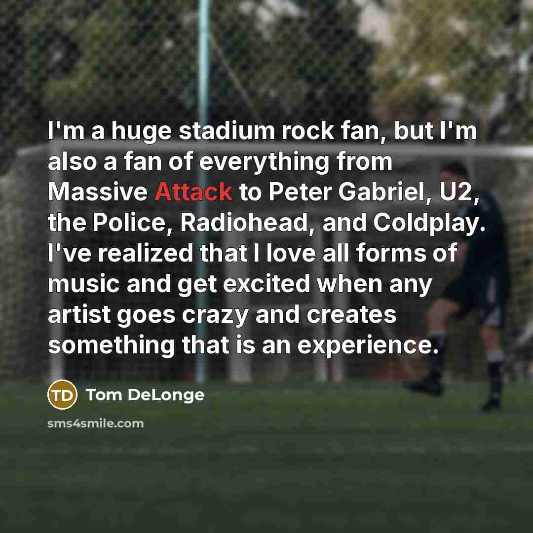 “I'm a huge stadium rock fan, but I'm also a…” quote by Tom DeLonge