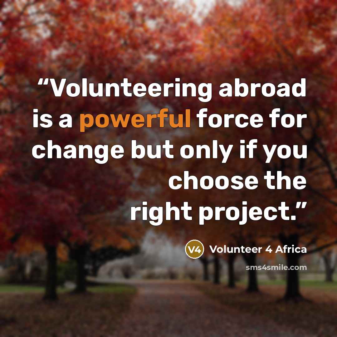 “Volunteering abroad is a powerful force for change but only if you choose the right project.” quote by Volunteer 4 Africa