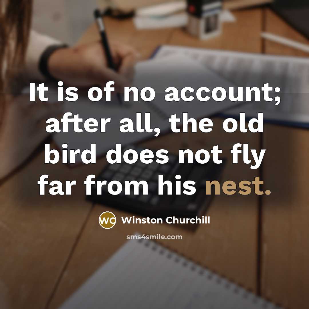 “It is of no account; after all, the old bird…” quote by Winston Churchill
