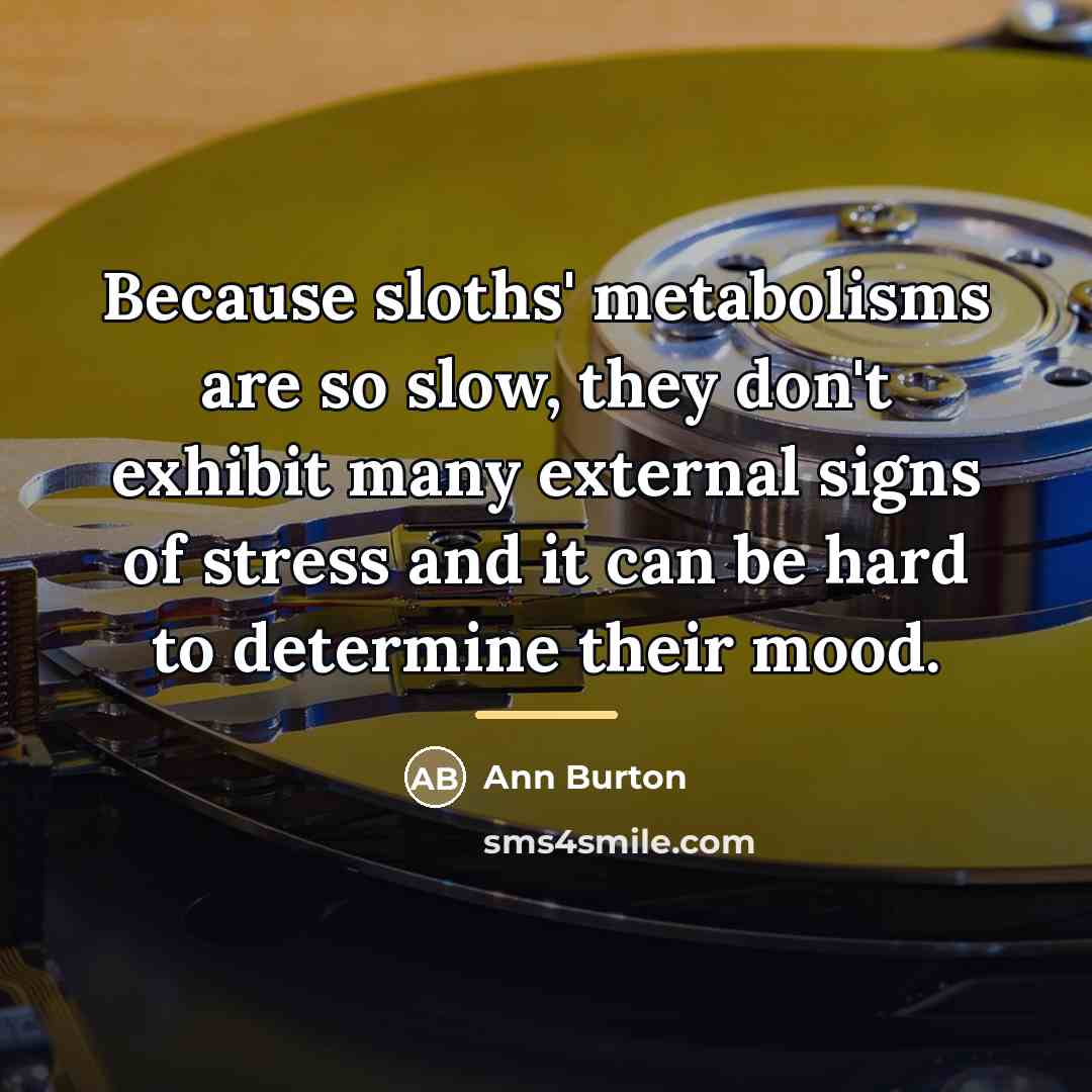 “Because sloths' metabolisms are so slow, they don't exhibit many…” quote by Ann Burton