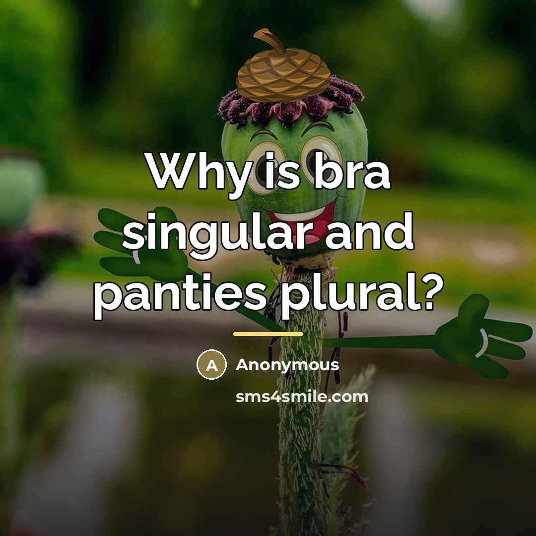 “Why is bra singular and panties plural?…” quote by Anonymous