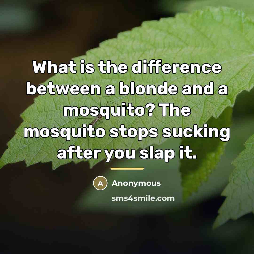“What is the difference between a blonde and a mosquito?…” quote by Anonymous