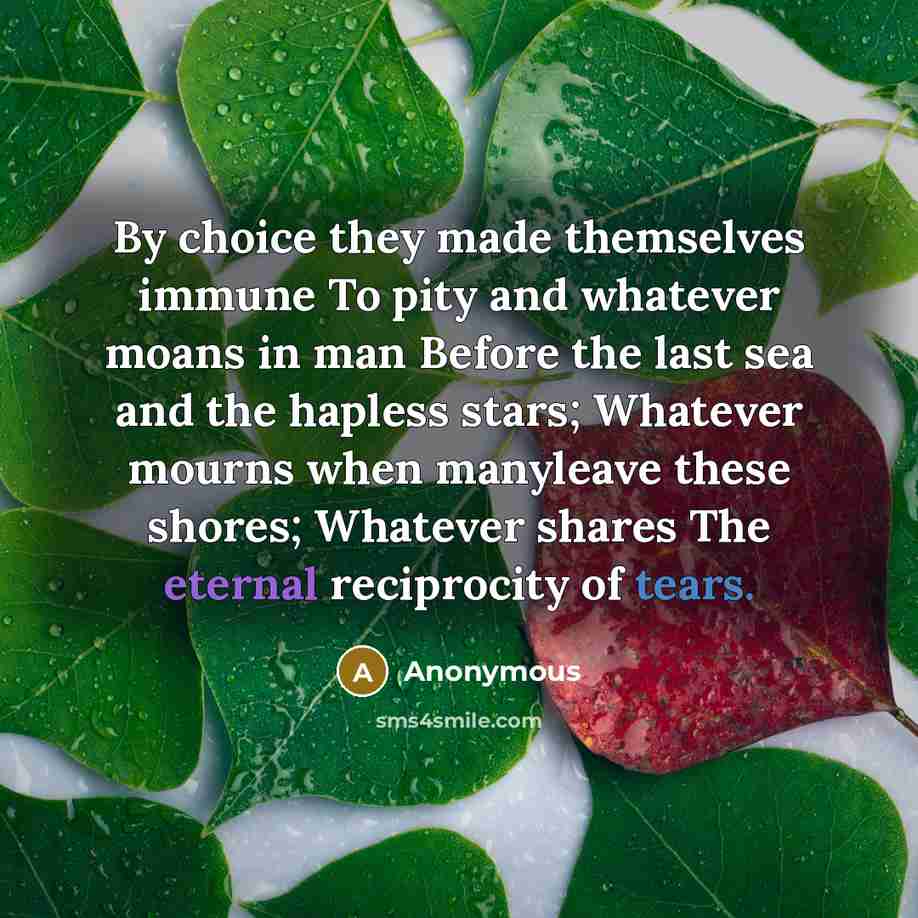 “By choice they made themselves immune To pity and whatever…” quote by Anonymous