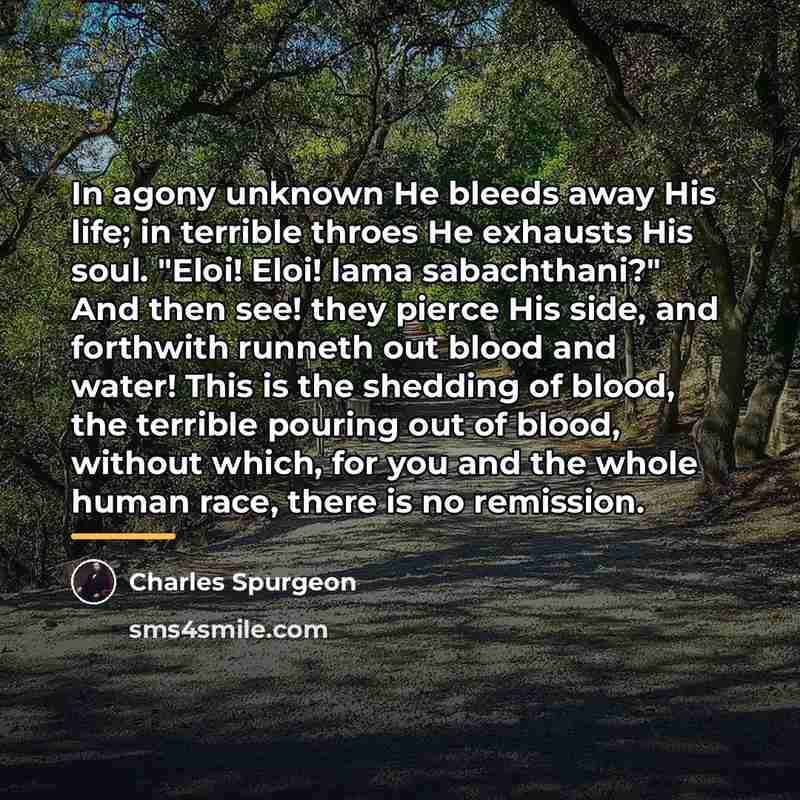 “In agony unknown He bleeds away His life; in terrible…” quote by Charles Spurgeon