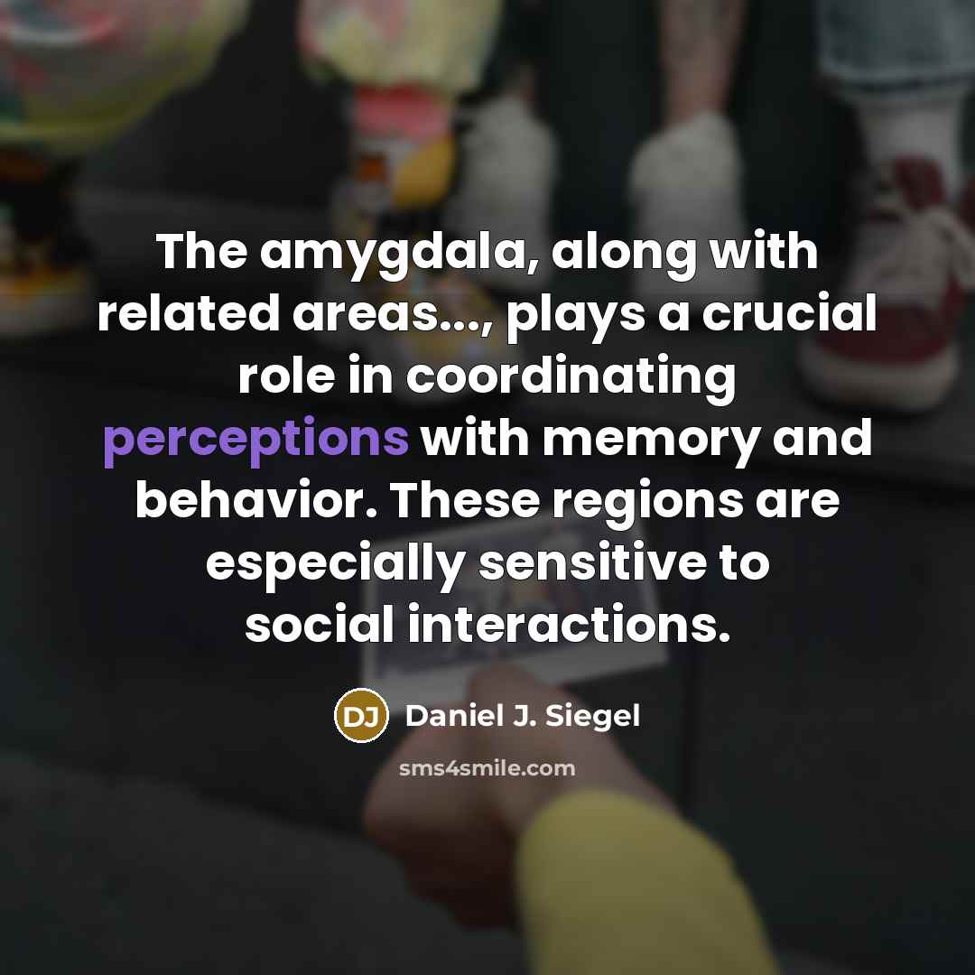 “The amygdala, along with related areas..., plays a crucial role in coordinating perceptions with memory and behavior. These regions are especially sensitive to social interactions.” quote by Daniel J. Siegel