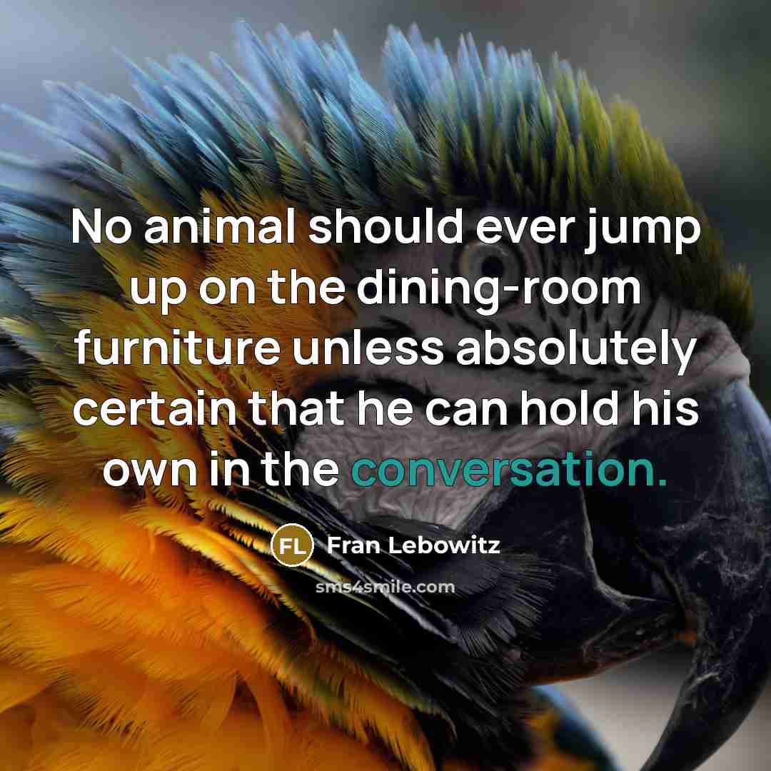 “No animal should ever jump up on the dining-room furniture…” quote by Fran Lebowitz