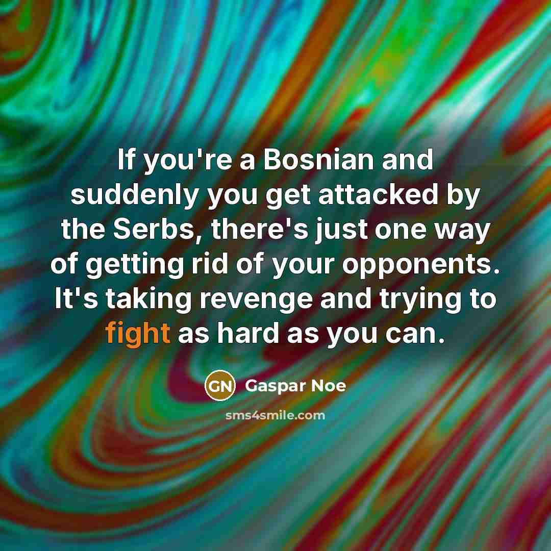 “If you're a Bosnian and suddenly you get attacked by…” quote by Gaspar Noe
