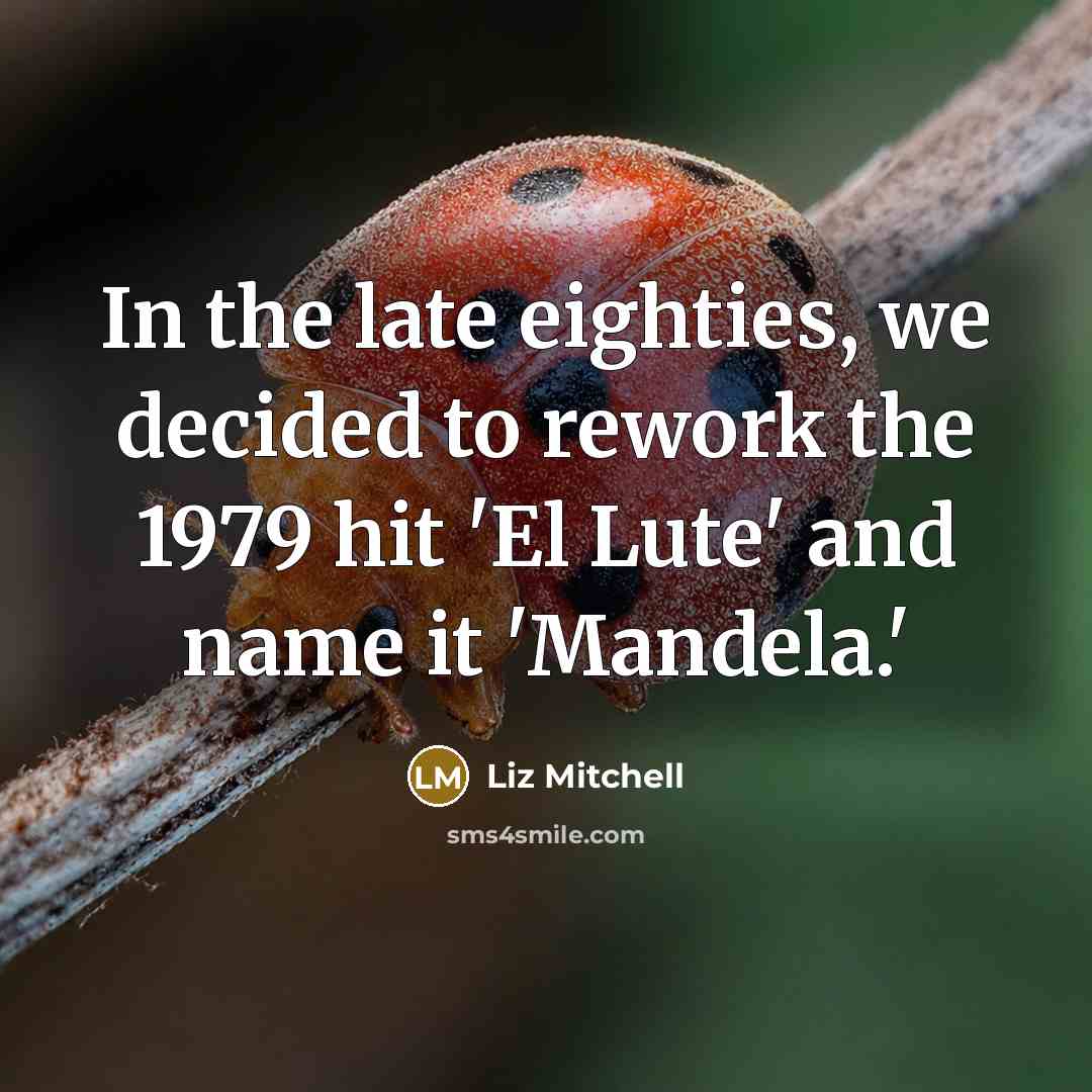 “In the late eighties, we decided to rework the 1979…” quote by Liz Mitchell