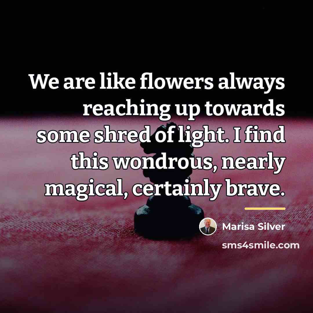“We are like flowers always reaching up towards some shred…” quote by Marisa Silver