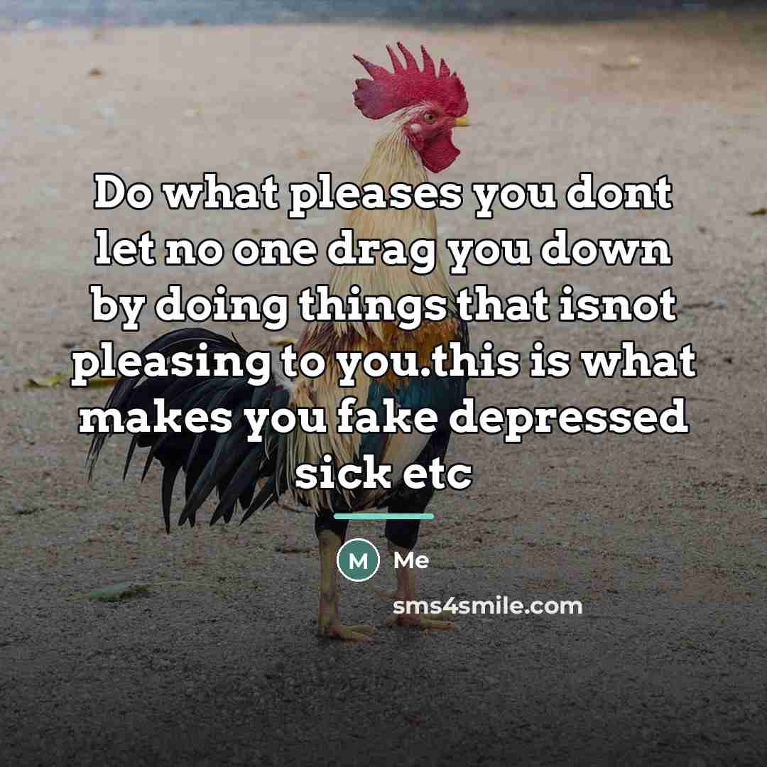 “Do what pleases you dont let no one drag you…” quote by Me