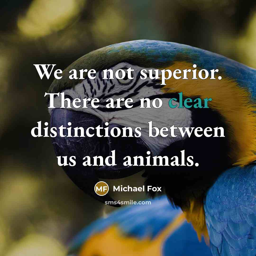 “We are not superior. There are no clear distinctions between…” quote by Michael Fox