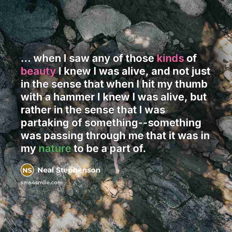 “... when I saw any of those kinds of beauty…” quote by Neal Stephenson