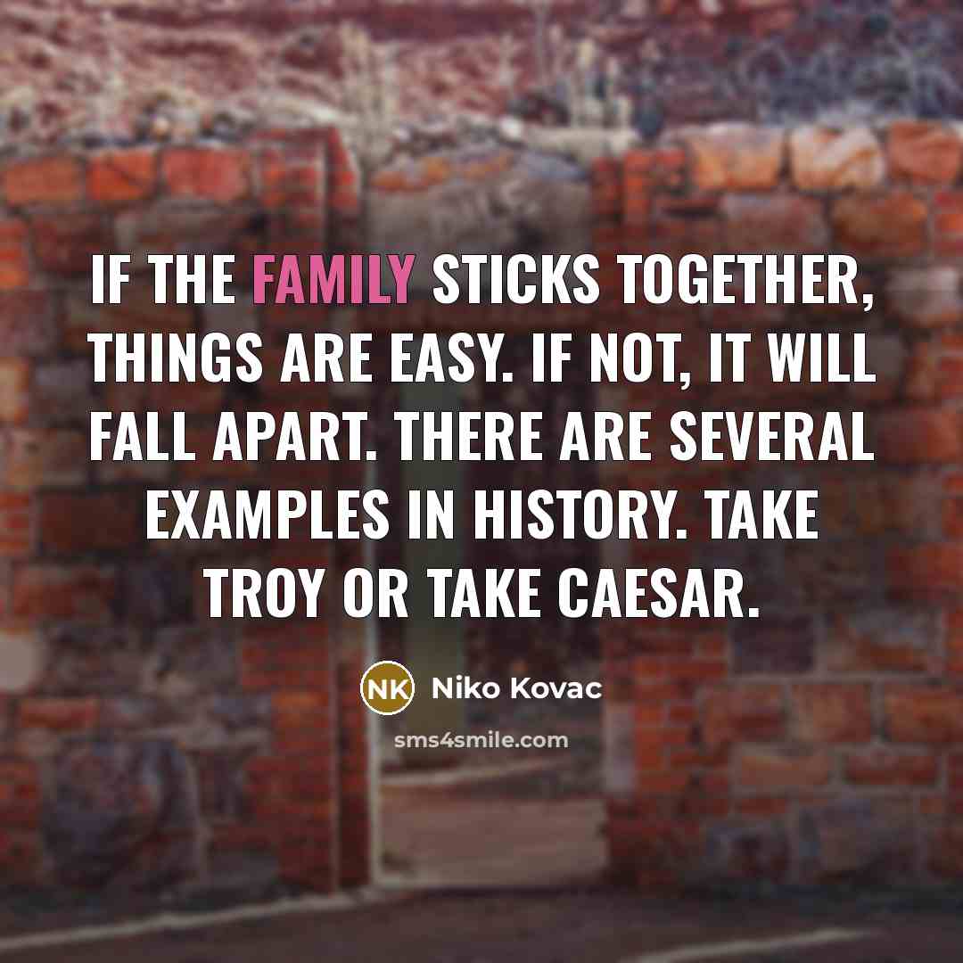 “If the family sticks together, things are easy. If not, it will fall apart. There are several examples in history. Take Troy or take Caesar.” quote by Niko Kovac