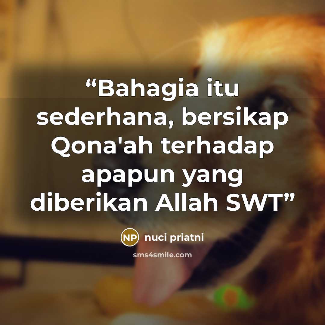 “Bahagia itu sederhana, bersikap Qona'ah terhadap apapun yang diberikan Allah SWT” quote by Nuci Priatni