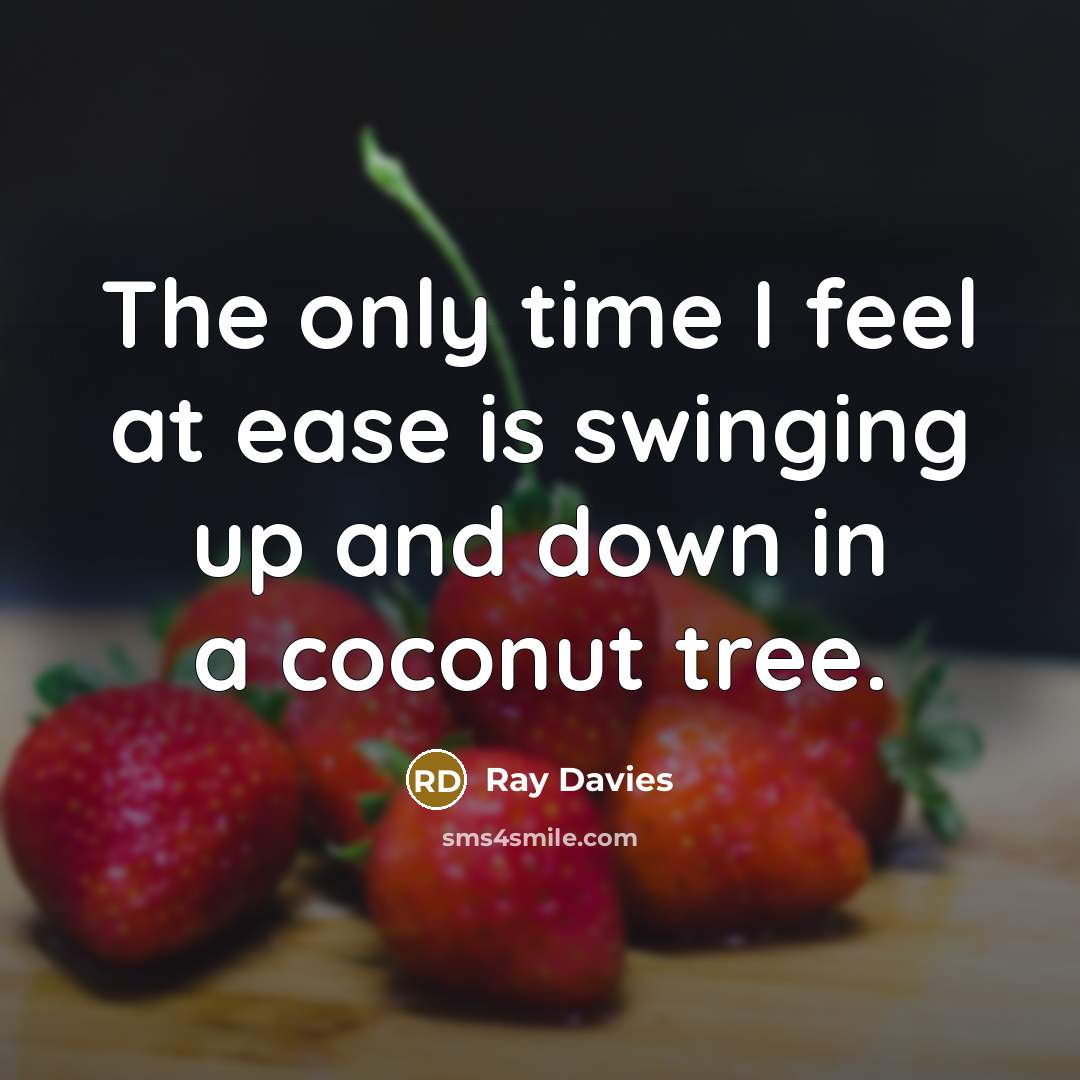 “The only time I feel at ease is swinging up…” quote by Ray Davies