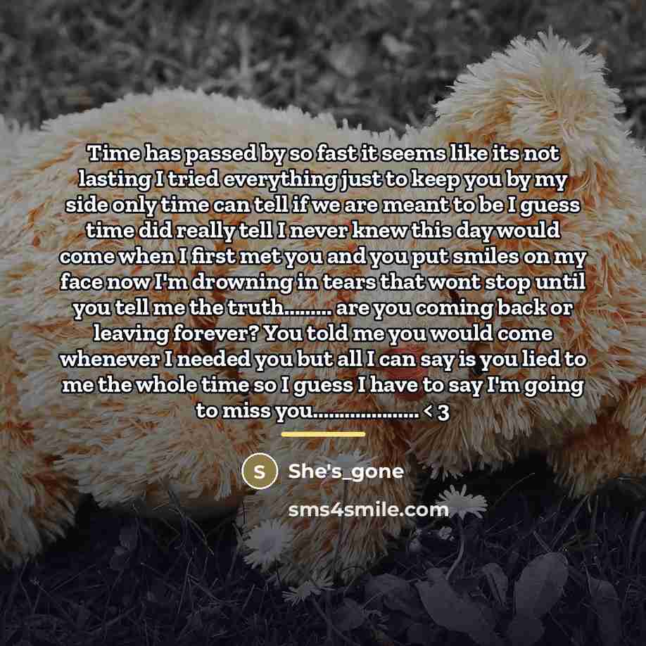 “Time has passed by so fast it seems like its…” quote by She's_gone